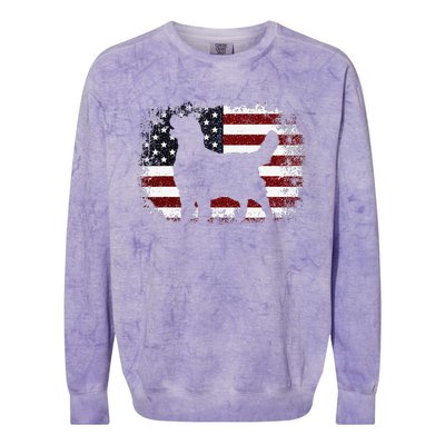 American Flag 4th of July Golden Retriever Dad Mom Dog Lover Colorblast Crewneck Sweatshirt