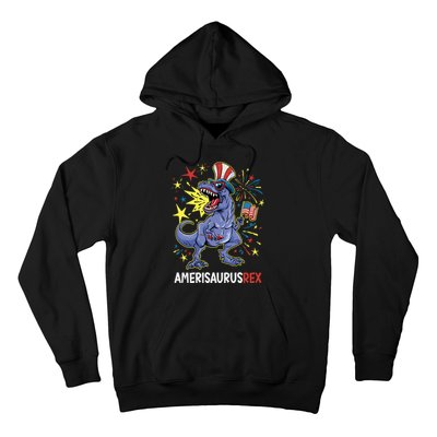 American Flag 4th of July T Rex Dinosaur Amerisaurus Rex Boy Hoodie