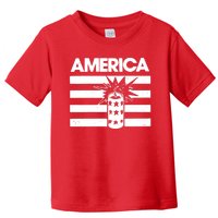 America Firework 4th Of July Flag Toddler T-Shirt