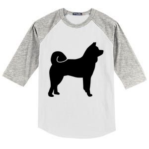 Akita Funny Kids Colorblock Raglan Jersey