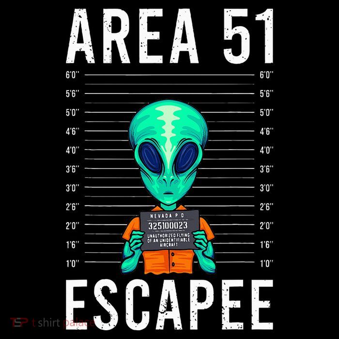 Alien Funny Alien Lover UFO Area 51 Alien Humor Alien Poster