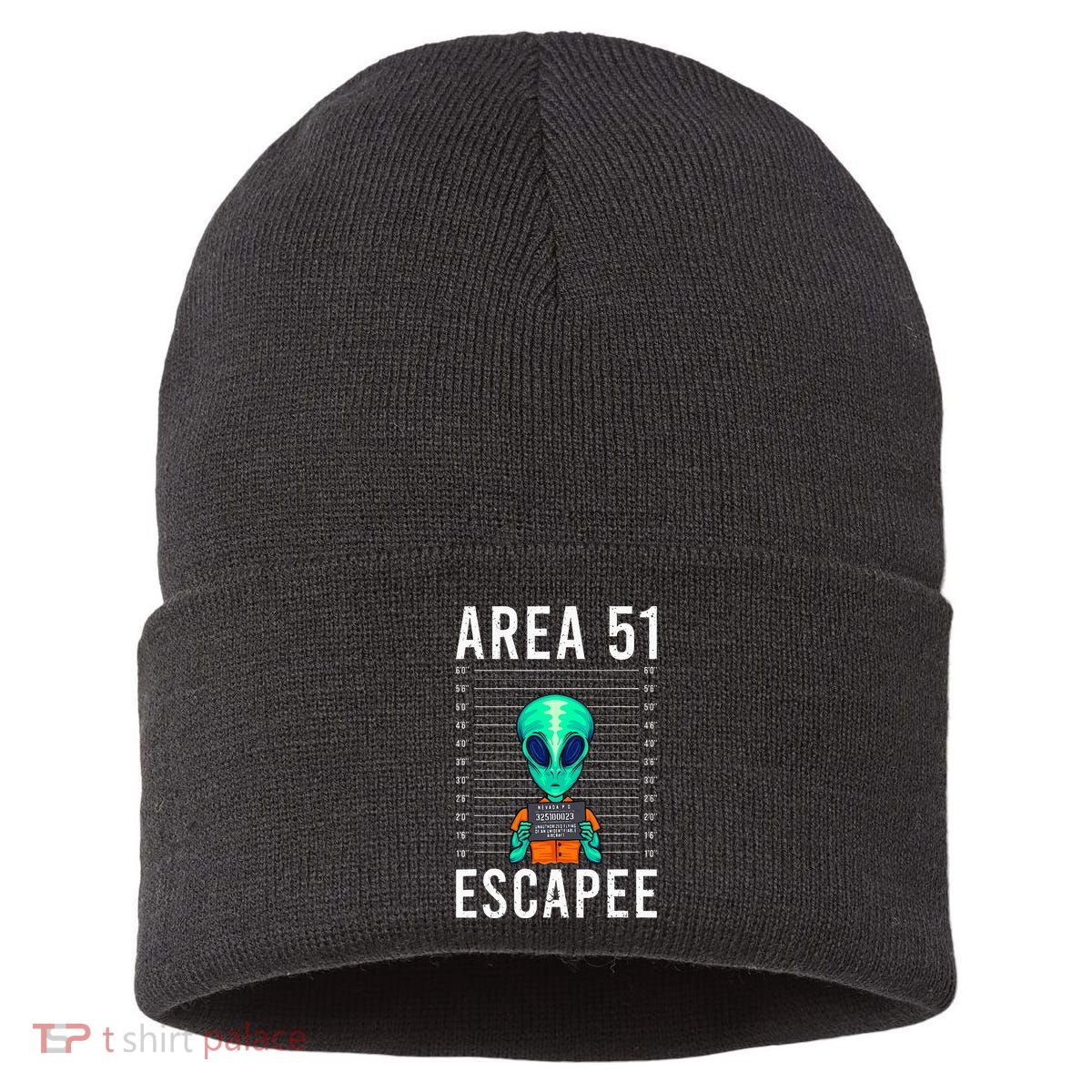 Alien Funny Alien Lover UFO Area 51 Alien Humor Alien Sustainable Knit Beanie