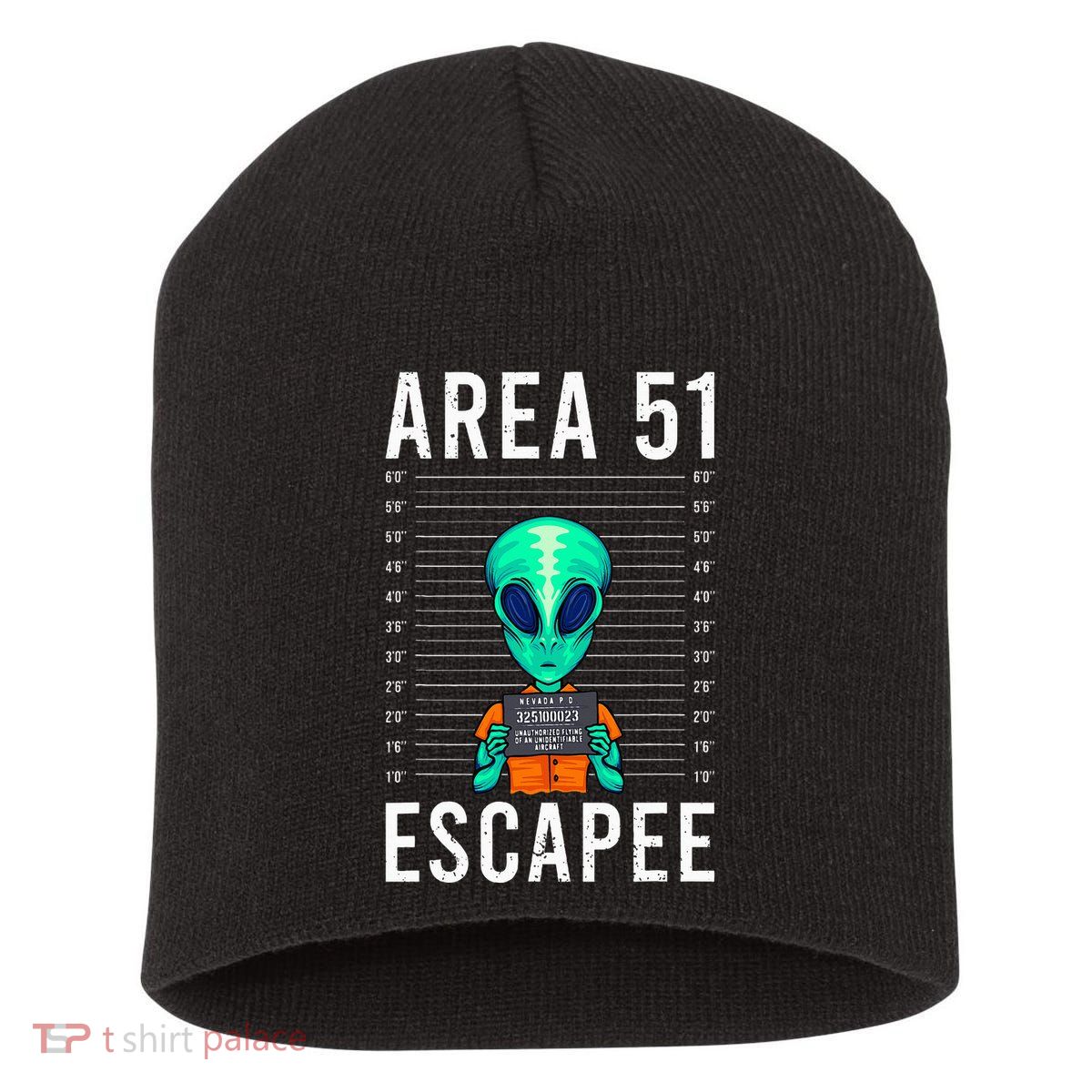 Alien Funny Alien Lover UFO Area 51 Alien Humor Alien Short Acrylic Beanie