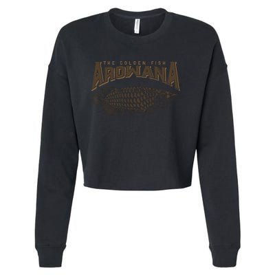 Arowana Fish Cropped Pullover Crew