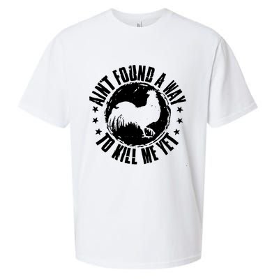Ain't Found A Way To Kill Me Yet Vintage Rooster Sueded Cloud Jersey T-Shirt