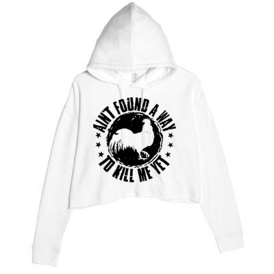 Ain't Found A Way To Kill Me Yet Vintage Rooster Crop Fleece Hoodie