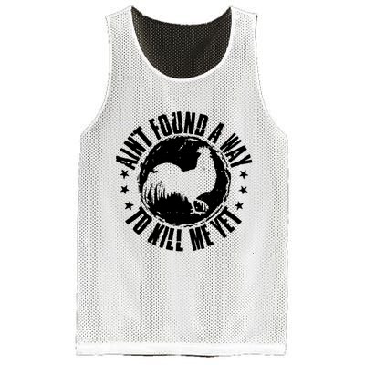Ain't Found A Way To Kill Me Yet Vintage Rooster Mesh Reversible Basketball Jersey Tank