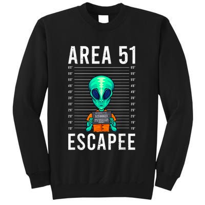 Alien Funny Alien Lover UFO Area 51 Alien Humor Alien Sweatshirt