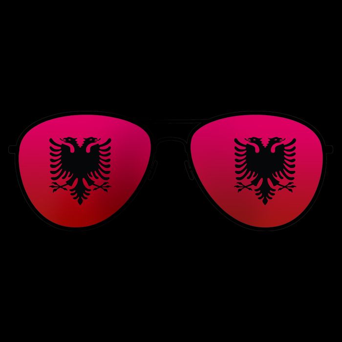 Albania Flag Aviator Sunglasses 16 in Basic Backpack