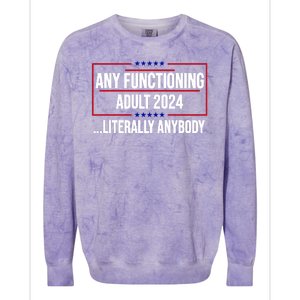 Any Functioning Adult 2024 Literally Anybody Funny Election Colorblast Crewneck Sweatshirt