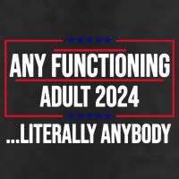 Any Functioning Adult 2024 Literally Anybody Funny Election 7 Panel Mesh Trucker Snapback Hat