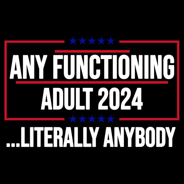 Any Functioning Adult 2024 Literally Anybody Funny Election 16 in Basic Backpack