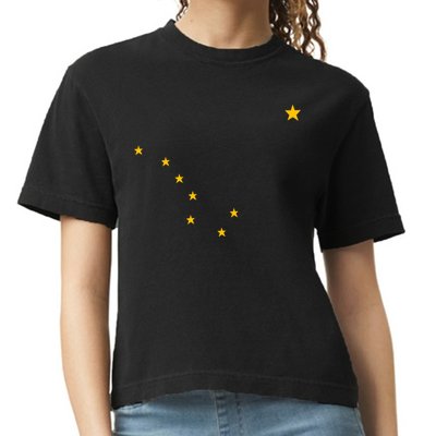 Alaskan Flag | Alaska Pride Northern Lights Big Dipper Polaris Comfort Colors Boxy T-Shirt