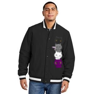 Asexuality Flag Animal Cat Ace Pride Demisexual Gift Asexual Insulated Varsity Jacket