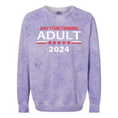 Any Functioning Adult For President 2024 Colorblast Crewneck Sweatshirt