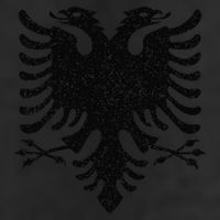 Albania Flag Albanian Doubleheaded Eagle 7 Panel Mesh Trucker Snapback Hat