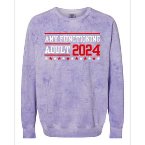 Any Functioning Adult 2024 Colorblast Crewneck Sweatshirt