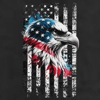 American Flag Bald Eagle Patriotic Bald Eagle Adult Drive Performance Visor