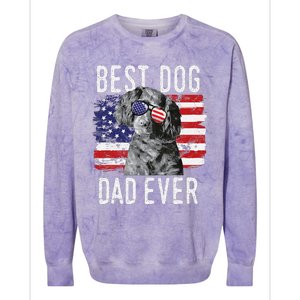 American Flag Best Dog Dad Ever Boykin Spaniel Usa Colorblast Crewneck Sweatshirt