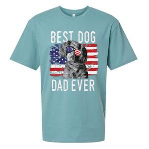 American Flag Best Dog Dad Ever Boykin Spaniel Usa Sueded Cloud Jersey T-Shirt