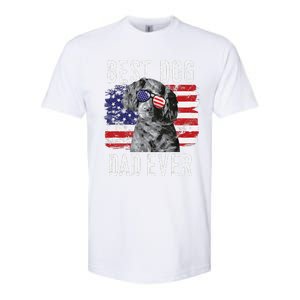 American Flag Best Dog Dad Ever Boykin Spaniel Usa Softstyle CVC T-Shirt