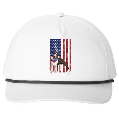 Ameridog Funny Boston Terrier With Sunglases American Flag Snapback Five-Panel Rope Hat