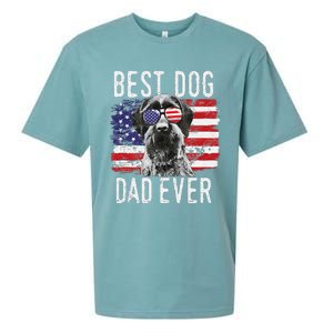 American Flag Best Dog Dad Ever German Wirehaired Pointer Sueded Cloud Jersey T-Shirt