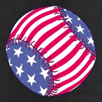 American Flag Baseball Lover 11oz C Handle Ceramic Mug