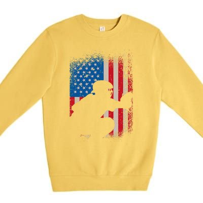 American Flag Baseball Catcher Design USA Flag Baseball Premium Crewneck Sweatshirt