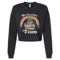 Autism Funny Be In Awe Of My Tism Meme Autistic Raccoon Gift Cropped Pullover Crew