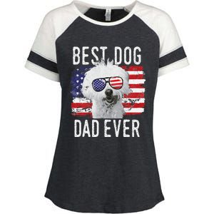 American Flag Best Dog Dad Ever Coton De Tulear Usa Enza Ladies Jersey Colorblock Tee