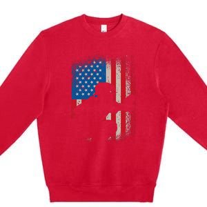 American Flag Baseball Catcher Usa Flag Baseball Premium Crewneck Sweatshirt