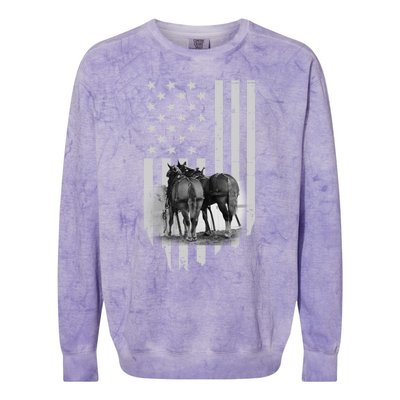 American Flag Belgian Draft Horses Gift For Farmer Gift Colorblast Crewneck Sweatshirt