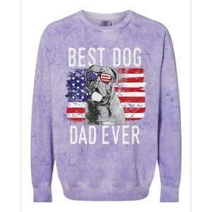 American Flag Best Dog Dad Ever Dogues De Bordeaux Usa Colorblast Crewneck Sweatshirt