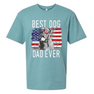 American Flag Best Dog Dad Ever Dogues De Bordeaux Usa Sueded Cloud Jersey T-Shirt