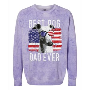 American Flag Best Dog Dad Ever Greyhounds Usa Colorblast Crewneck Sweatshirt