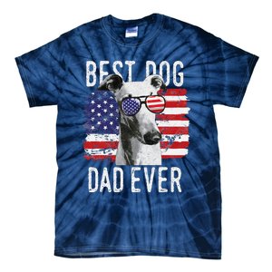 American Flag Best Dog Dad Ever Greyhounds Usa Tie-Dye T-Shirt