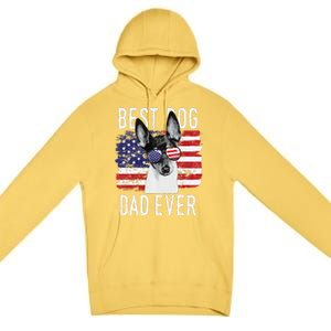 American Flag Best Dog Dad Ever Toy Fox Terriers Usa Premium Pullover Hoodie