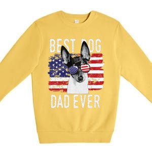 American Flag Best Dog Dad Ever Toy Fox Terriers Usa Premium Crewneck Sweatshirt