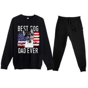 American Flag Best Dog Dad Ever Toy Fox Terriers Usa Premium Crewneck Sweatsuit Set