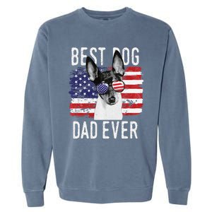 American Flag Best Dog Dad Ever Toy Fox Terriers Usa Garment-Dyed Sweatshirt