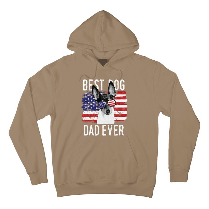 American Flag Best Dog Dad Ever Toy Fox Terriers Usa Hoodie