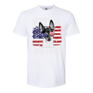 American Flag Best Dog Dad Ever Toy Fox Terriers Usa Softstyle CVC T-Shirt