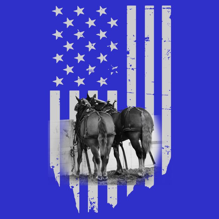 American Flag Belgian Draft Horses Gift For Farmer Gift Premium T-Shirt
