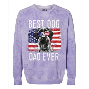 American Flag Best Dog Dad Ever German Wirehaired Pointer Colorblast Crewneck Sweatshirt