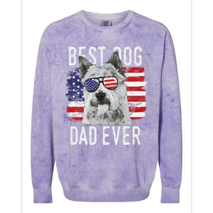 American Flag Best Dog Dad Ever Norwich Terriers Usa Colorblast Crewneck Sweatshirt