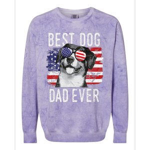 American Flag Best Dog Dad Ever Entlebucher Mountain Dogs Colorblast Crewneck Sweatshirt