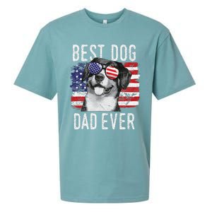 American Flag Best Dog Dad Ever Entlebucher Mountain Dogs Sueded Cloud Jersey T-Shirt