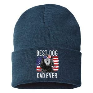 American Flag Best Dog Dad Ever Gordon Setters Usa Sustainable Knit Beanie