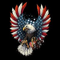 American Flag Bald Eagle 4th Of July USA Patriotic Cooling Performance Crew T-Shirt